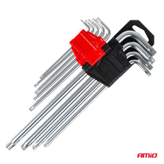 Torx-sleutels van CrV-chroom-vanadiumstaal met houder