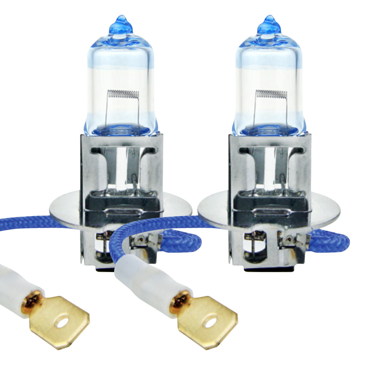 H3 halogeenlampen met PK22s-fitting